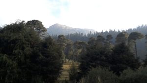 parque-nacional-cumbres-del-ajusco-tripadvisor.com.mx-04