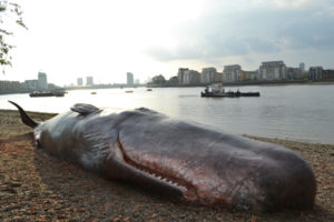 greenwich-londres-inglaterra-captain-boomer-creacuervos