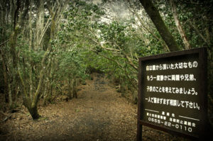 Bosque-de-los-Suicidas-en-Aokigahara