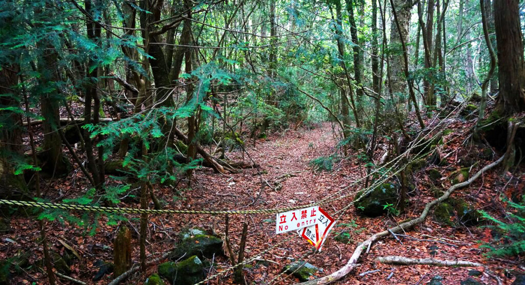 Bosque-de-los-Suicidas-en-Aokigahara