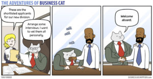 The-Adventures-of-Business-Cat