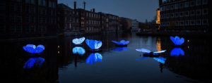 Butterfly-effect-amsterdam-light-festival