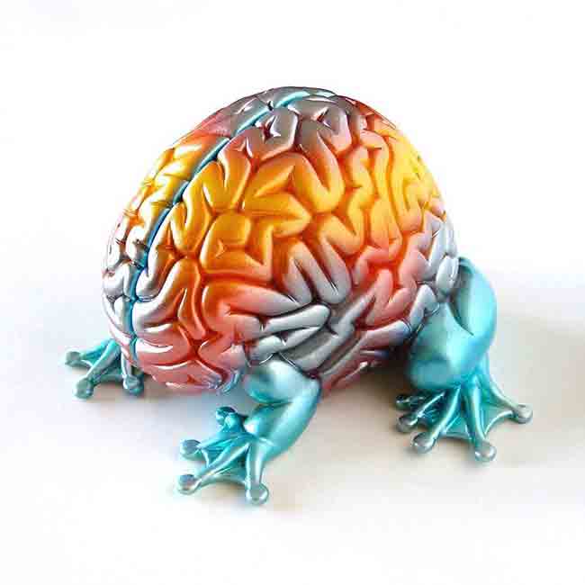 emilio-garcia-explorando-la-plasticidad-del-cerebro-humano