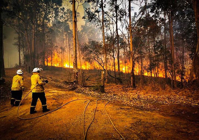 incendios-en-australia-meteored.mx