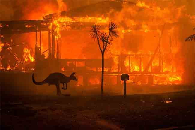 incendios-en-australia-muyinteresante.es