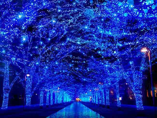 lights-of-japan-un-espectaculo-luminoso-en-la-cdmx
