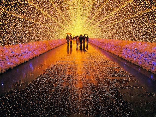 lights-of-japan-un-espectaculo-luminoso-en-la-cdmx