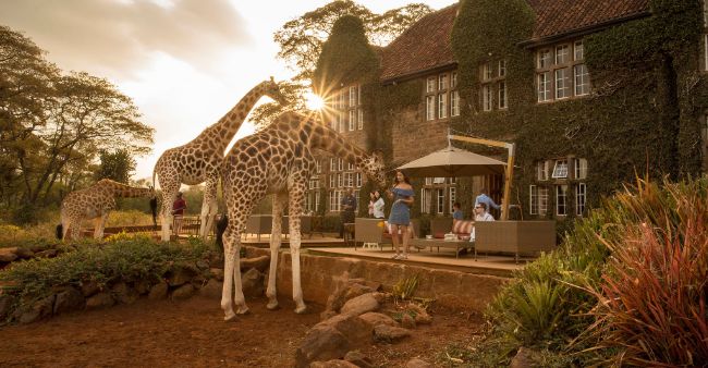 la-historia-del-giraffe-manor-la-mansion-de-las-jirafas
