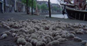 Nosferatu - Herzog, Kinski 1979 - las ratas