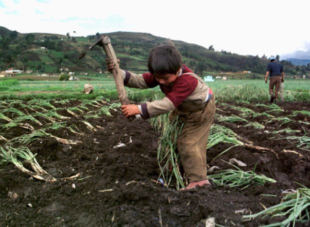 trabajo-infantil-en-la-era-de-la-covid-19