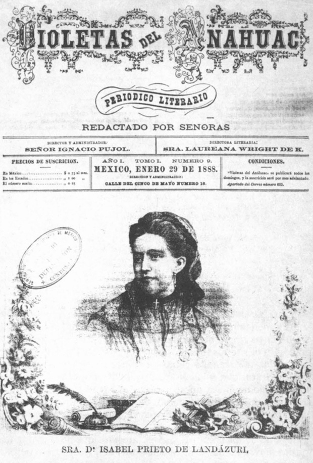 violetas-del-anahuac