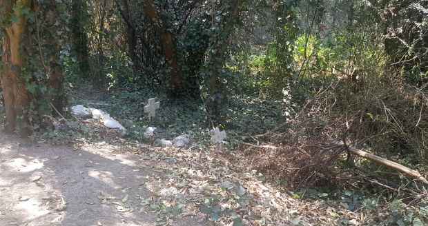 Tumbas entre árboles y vegetación densa