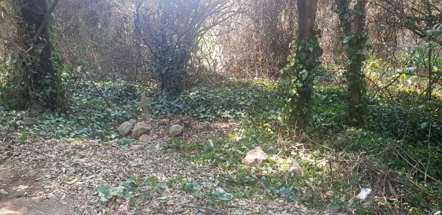 Tumbas entre árboles y vegetación densa